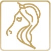 Mane-tail care