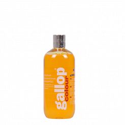 26 CARR&DAY&MARTIN - Gallop Colour Shampoo Chestnut 500ml