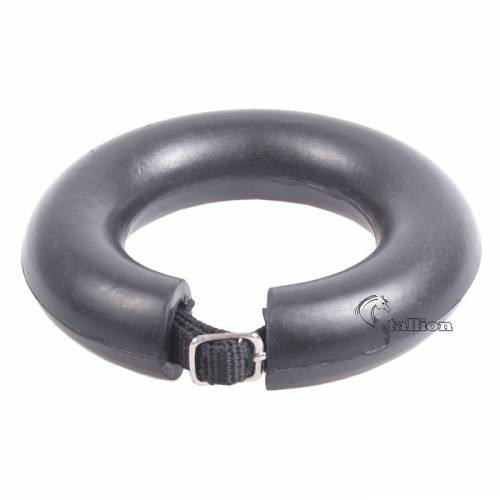 Large_C-fakepath-stallion-ring