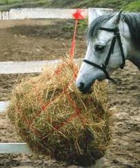 14A NC Haynet - medium