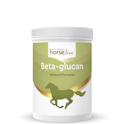 Naturalny kompleks witamin z grupy B HorseLinePRO  Beta-Glukan
 działanie prebiotyczne 300g