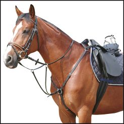 DAW-MAG Leather breastplate with running martingale