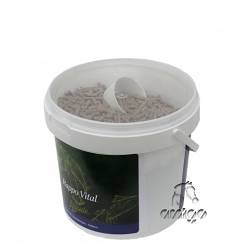 12A RAPIDE Rappo Vital 1kg