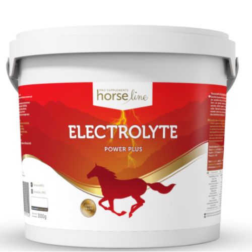 HorseLinePRO Electrolyte Power Plus, mieszanka paszowa dietetyczna wyrównująca utraty elektrolitów 3000g