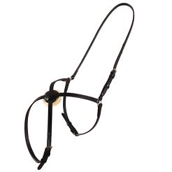 37 DAW-MAG Figure-8 noseband with sheepskin