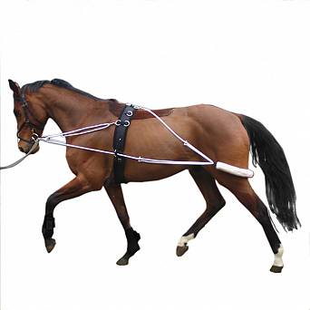 15 LEO Training system