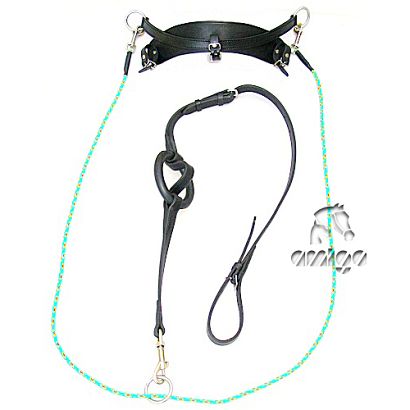 14 DAW-MAG Leather Chambon