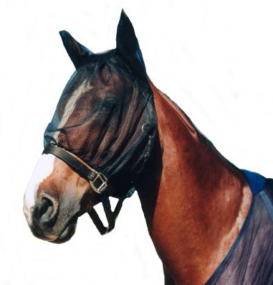 41 AMIGO Siatka na głowę przeciw muchom/owadom