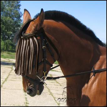 51 MUSTANG Brow-band with fly fringe size 2