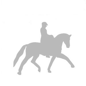 014 koń z jeźdźcem - ujeżdżenie srebrny
