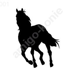 001 koń galop czarny