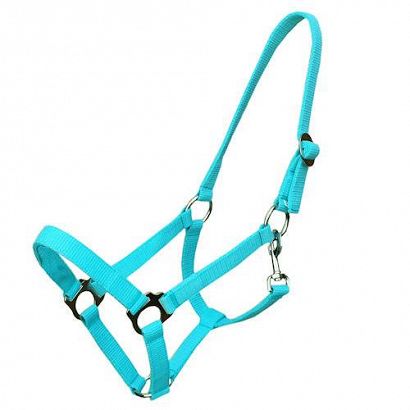 Tape halter simple MUSTANG - 52 turquoise /0001