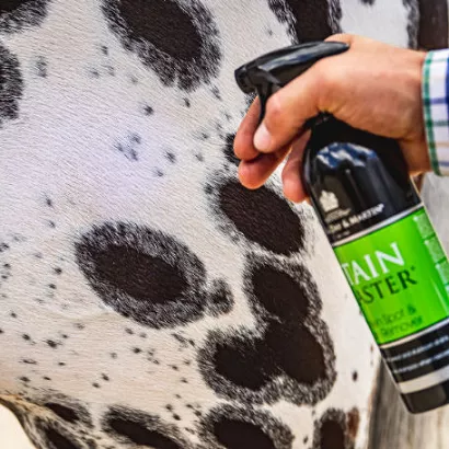 Szampon usuwający plamy na sucho CARR & DAY & MARTIN Stainmaster 500ml / CC046