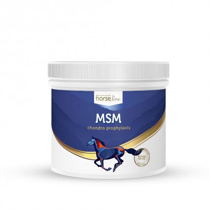 HorseLine MSM supplement for horses and ponies 700g