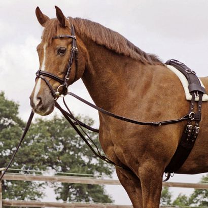 13D BUSSE Lunging reins