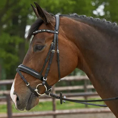 Ogłowie BUSSE Comfort, z nachrapnikiem kombinowanym / 120054