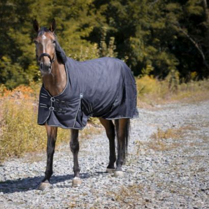 Turnout rug RIDING WORLD OXFORD 600D / 4008922