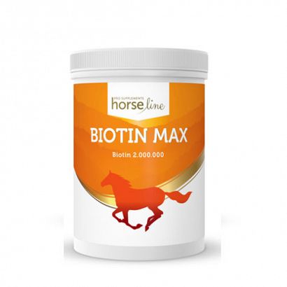 HorseLine BiotinMax 1000g