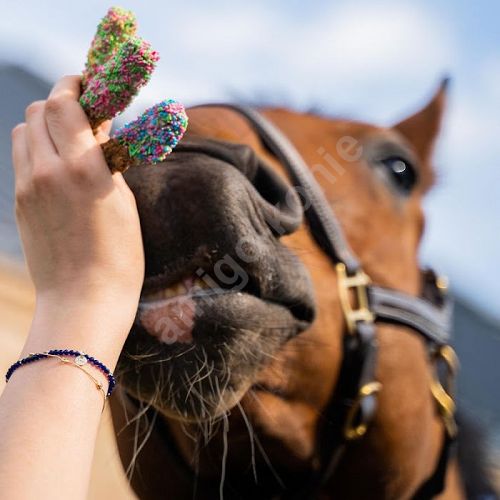 Horse lollipops KOŃSKA CUKIERENKA treats for horses / 18pcs