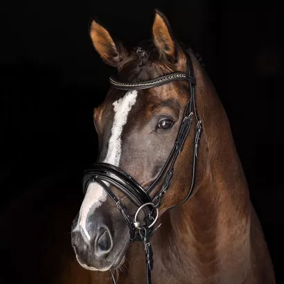 Nachrapnik szwedzki COVALLIERO lakierowany, czarny lakierowany