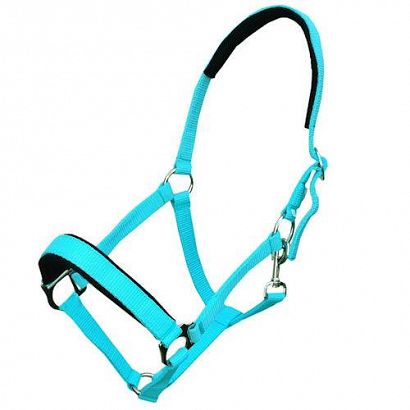 Padded tape halter MUSTANG - 52 turquoise / 0002