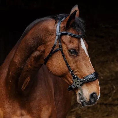 Ogłowie skórzane NORTON PRO do hackamore, Czarne / 301899