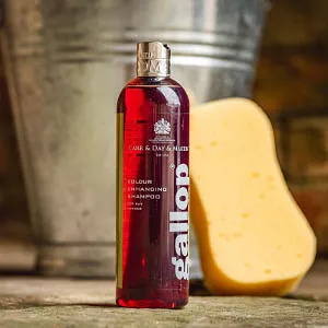 Szampon dla koni gniadych CARR & DAY & MARTIN Galllop colour Bay  500ml / CC019