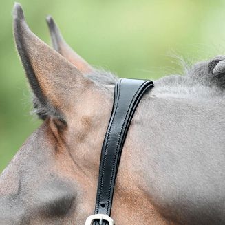 pasek potyliczny miękko wyścielany - jego anatomiczny kształt i możliwość regulacji szerokości pozwala na swobodny ruch uszu konia.