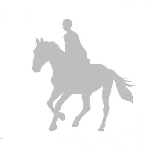 007 koń z jeźdźcem srebrny