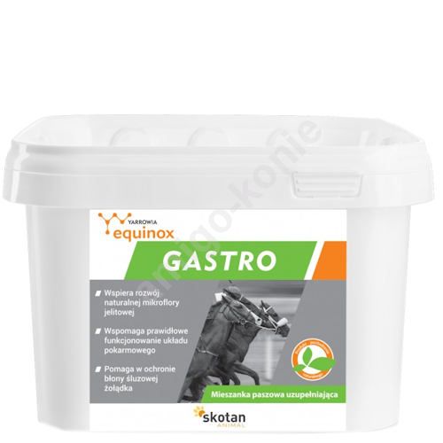 Preparat wspomagający gojenie wrzodów żołądka YARROWIA EQUINOX Gastro Formula   3kg