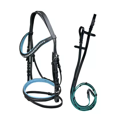 Ogłowie skórzana na kucyka Abigail Y czarne z turkusowymi dodatkami