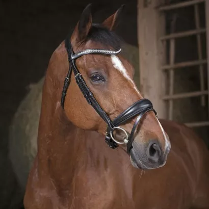 Ogłowie skórzane NORTON Pro Strass z nachrapnikiem szwedzkim  / 301831302