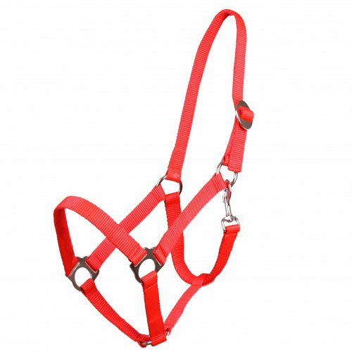 Tape halter simple MUSTANG - 40-red /0001