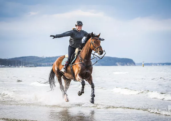 *Jak zagalopować na koniu?